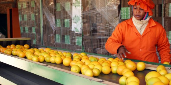 Mat; landbruk; skog (10) web