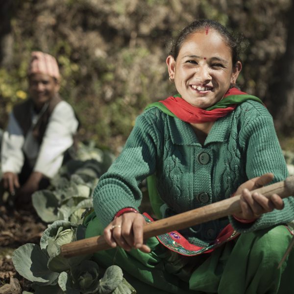 People of Nepal: A happy woman farmer looking at camera holding weeding hook and giving toothy smile together with a mature man who is in the background, both of them are in a cabbage farm. The focus is on woman in foreground.