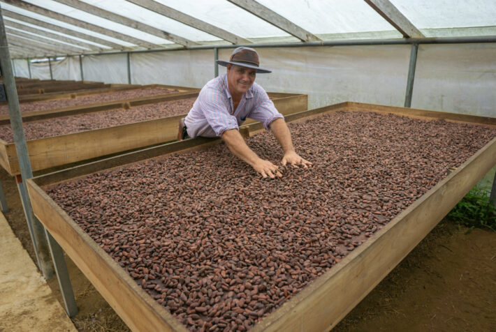 cocoa plantation worker