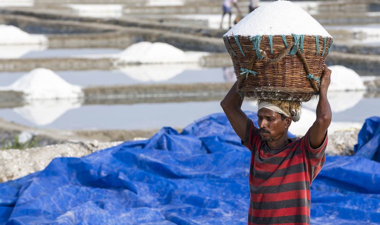 Worker carrying wooden baskets full of salt on the head and walking on salt field to the store.